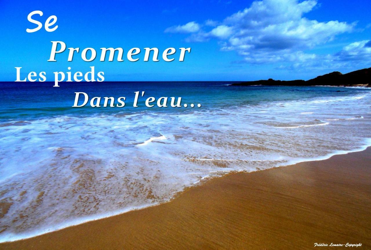 شقة فريهيل  في Cap Houses Le Traezhenn المظهر الخارجي الصورة